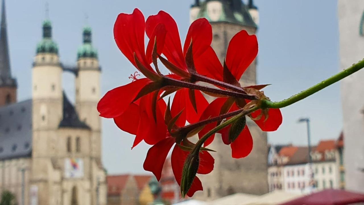 Budget Rooms In Halle With Shared Bathroom, Free Wifi, Netflix & Ipad Exterior photo